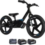 STACYC Brushless 16eDRIVE